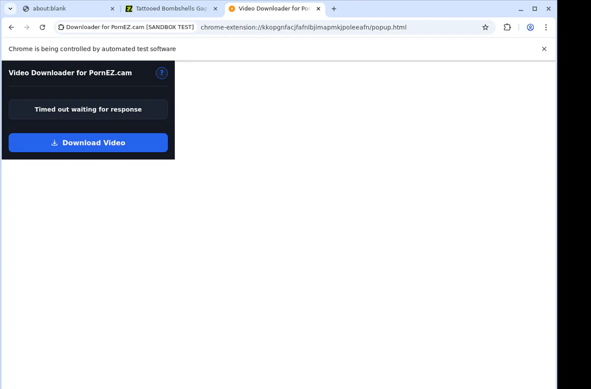 Pornezcam Video Downloader browser extension screenshot 2