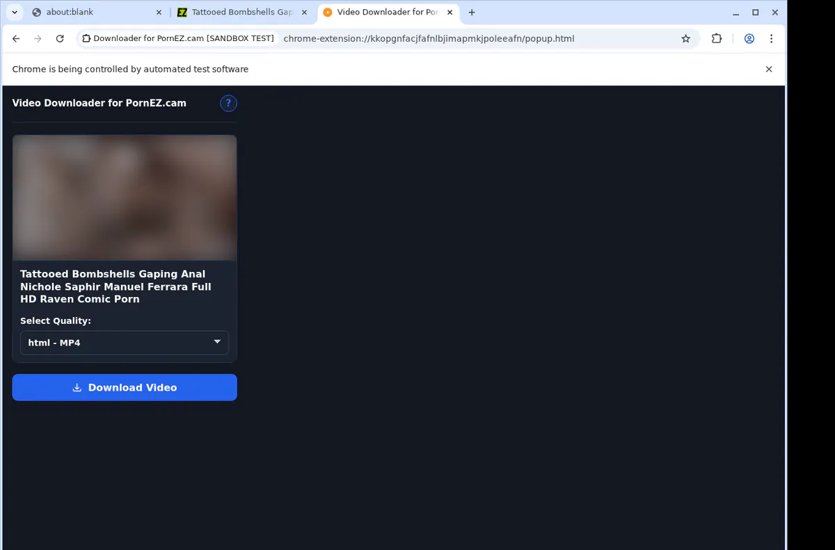 Pornezcam Video Downloader browser extension screenshot 3