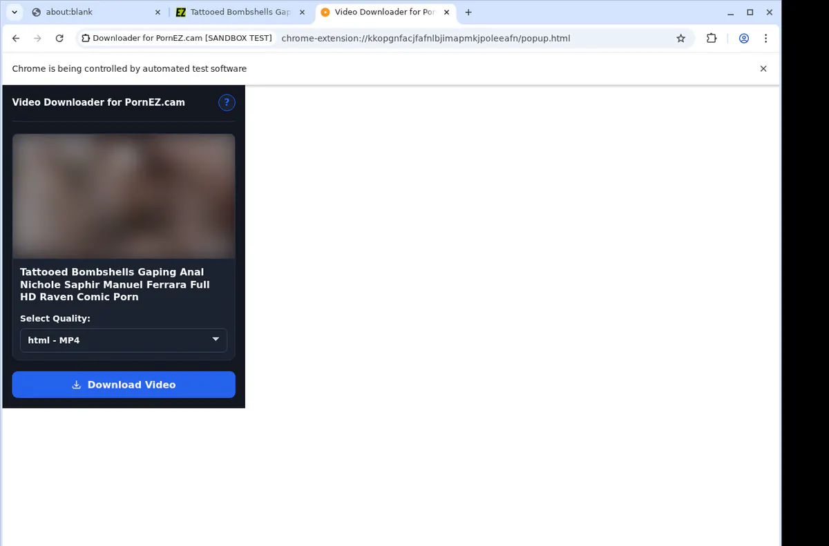Pornezcam Video Downloader browser extension screenshot 4