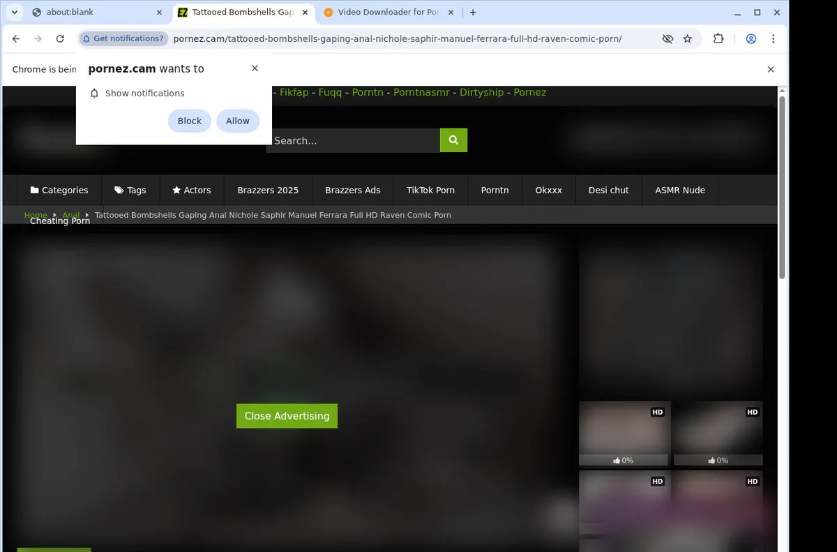 Pornezcam Video Downloader browser extension screenshot 5